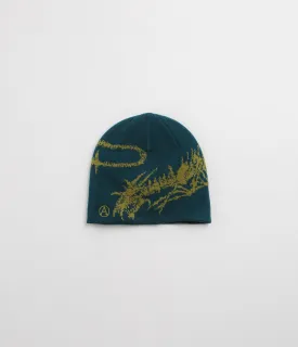 Aries Skeletor Skull Beanie - Petrol