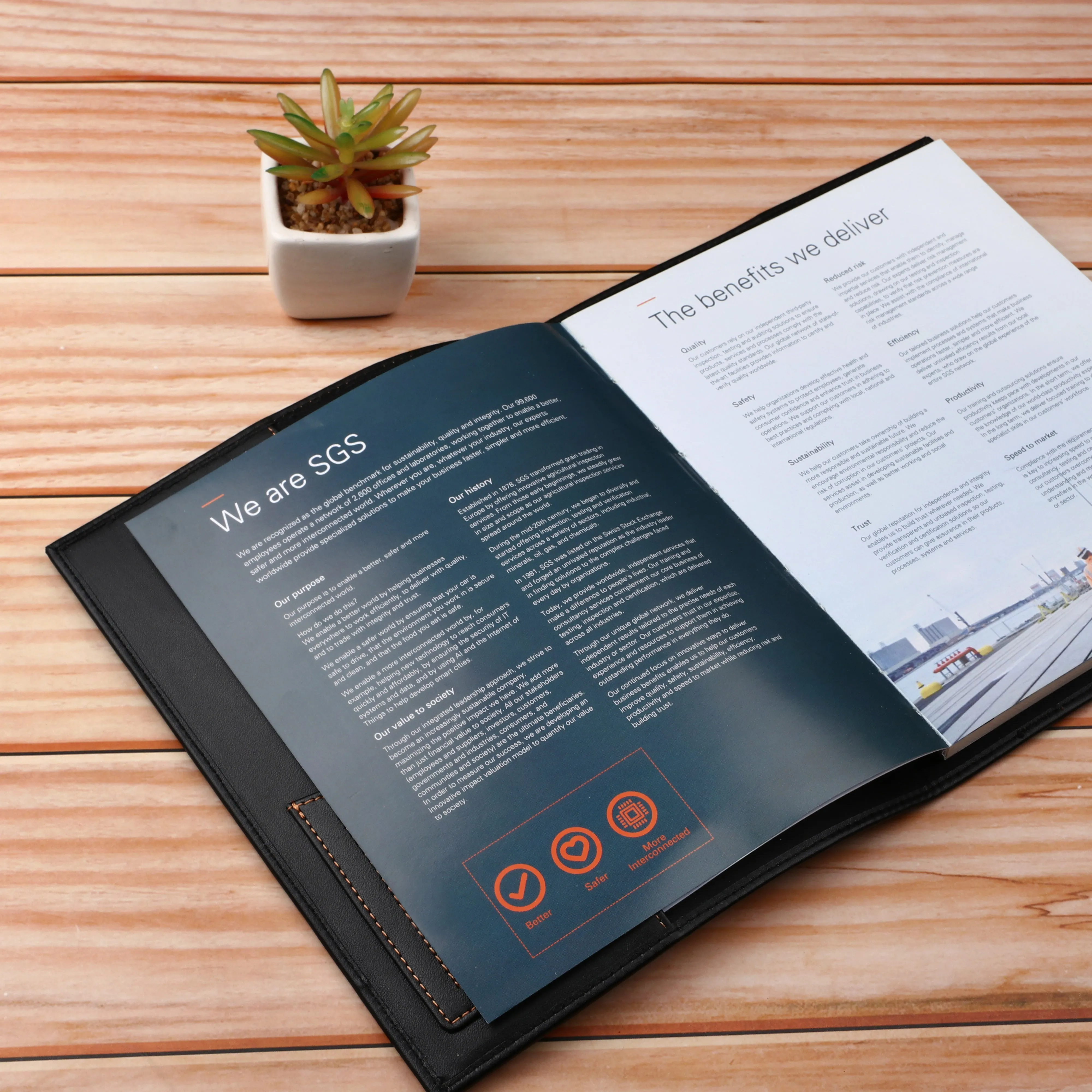 SGS INDIA CASE STUDY FOR EMPLOYEES & CLIENTS